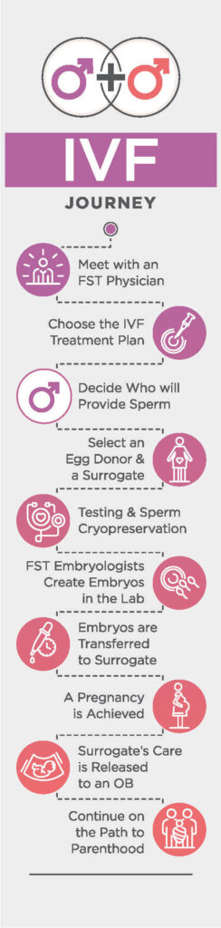 IVF Journey