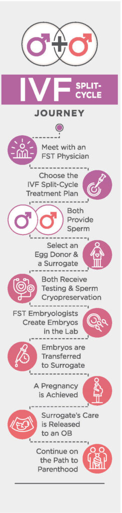 IVF Split Cycle Journey